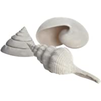 biOrb 46133 Set de 3 Caracolas Blancas